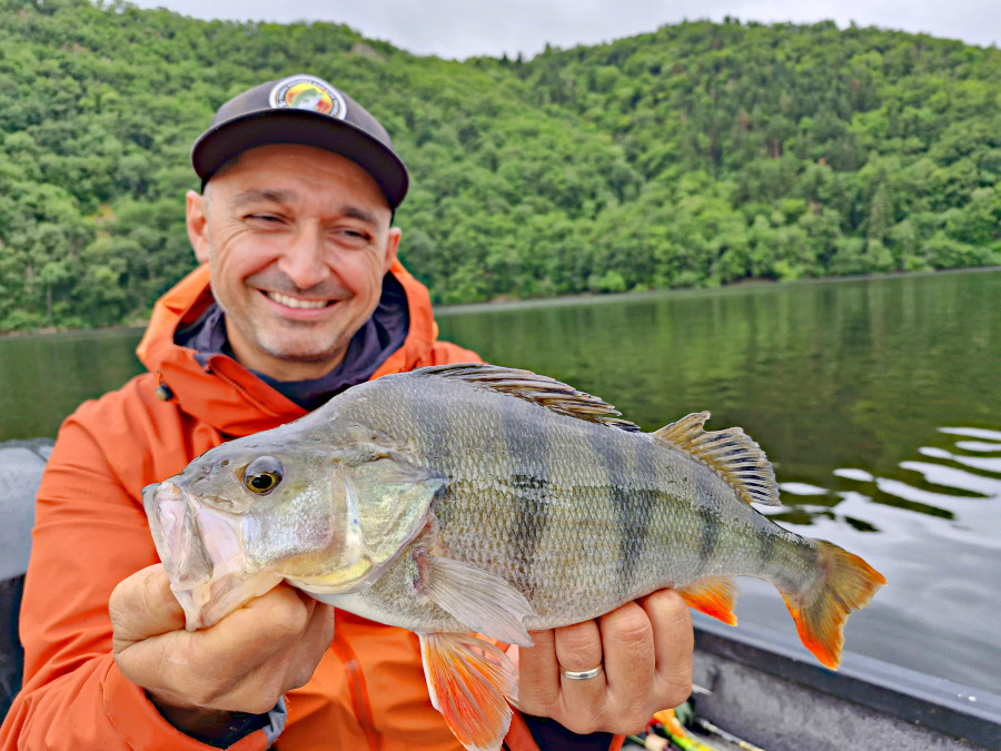 David Allary, moniteur guide de pêche en Auvergne avec une belle perche prise aux Fades