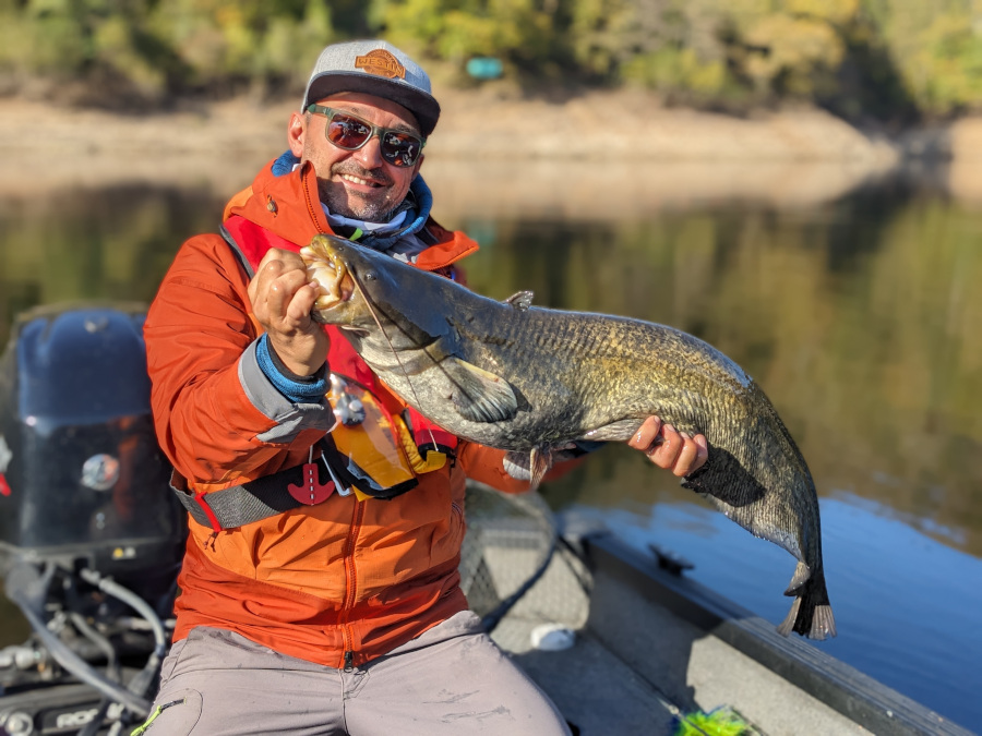 David Allary, Moniteur guide de pêche en Auvergne avec un silure qu'il vient de capturer en pêchant sur le barrage de Bort les Orgues